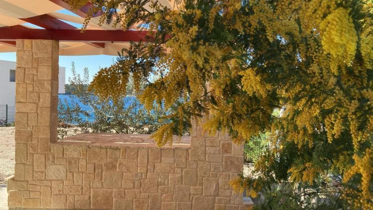 Helena Διαμέρισμα Rogoznica  Εξωτερικό φωτογραφία